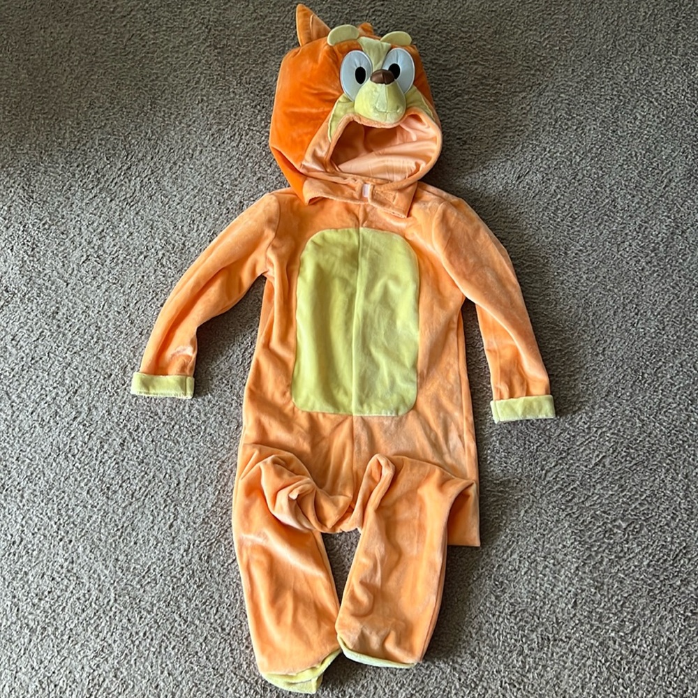 Plush Bingo costume